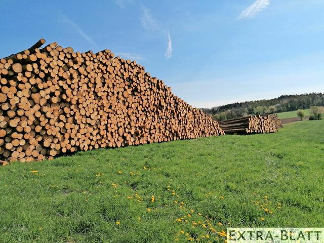 Foto: Steimel