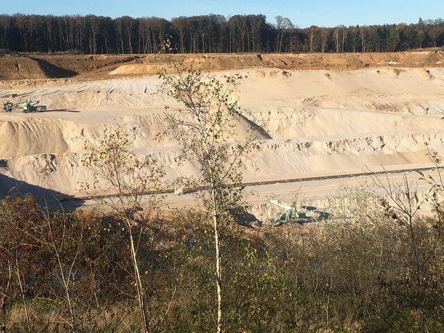Blick auf den Altwald, der oberen Sandschicht, dem Quarzsand Flöz von 60 m Höhe und der Aufforstung im Vordergrund. 