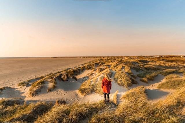 Strand in Sonderjylland (Dänemark) | Foto: sarah green
