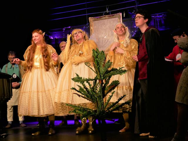 Begegnung mit Elfen und Feen bei der Musik von "Drei Nüsse für Aschenbrödel".  | Foto: Anita Brandtstäter
