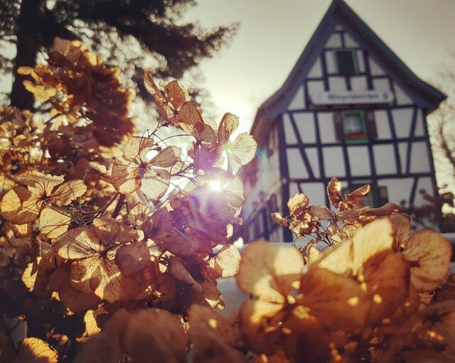 Foto: © UrbanTravelAdventurer by Stefan Fohlen