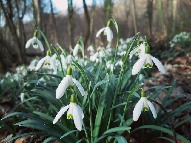 Foto: © UrbanTravelAdventurer by Stefan Fohlen