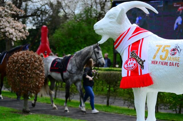 Fußball trifft auf Galoppsport | Foto: Horst Nauen
