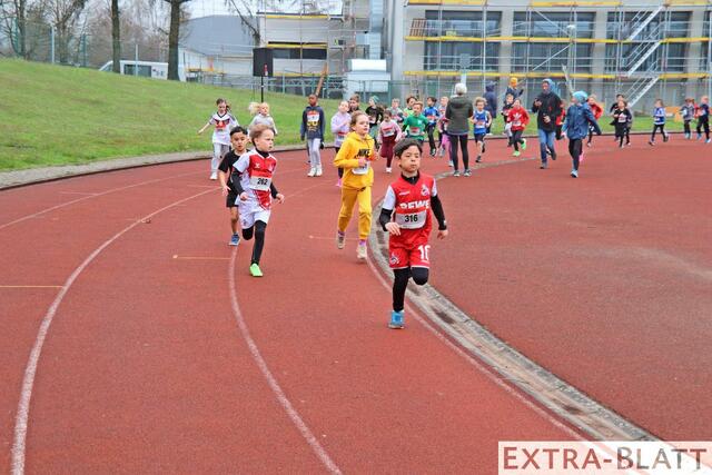 Foto: Steimel