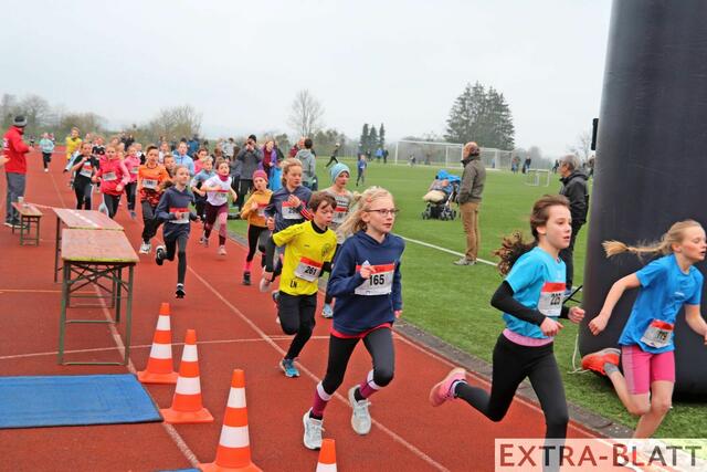 Foto: Steimel