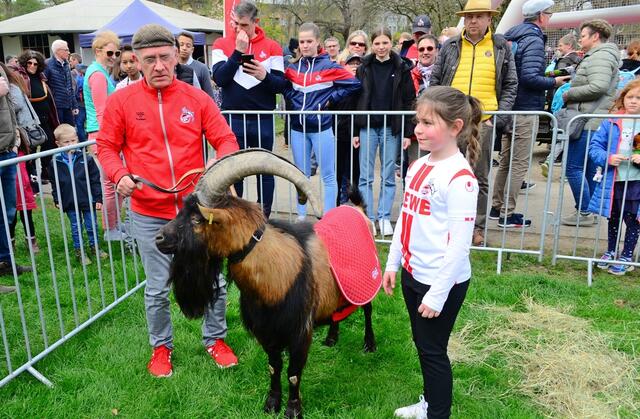 FC-Maskotchen "Hennes" beliebt bei Jung &amp; Alt | Foto: Horst Nauen