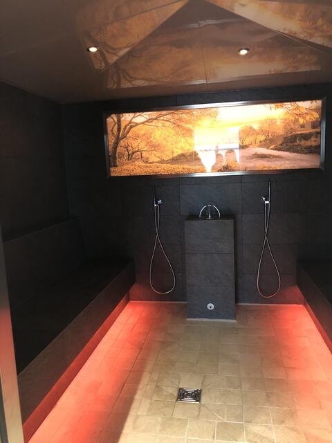 Mit Farbwechsler und beleuchtetem Bild: Die neue Dampfsauna. | Foto: Montserrat Manke
