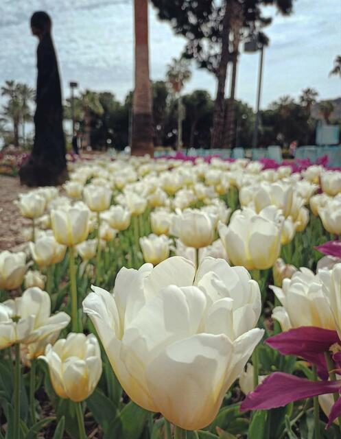 Foto: © UrbanTravelAdventurer by Stefan Fohlen