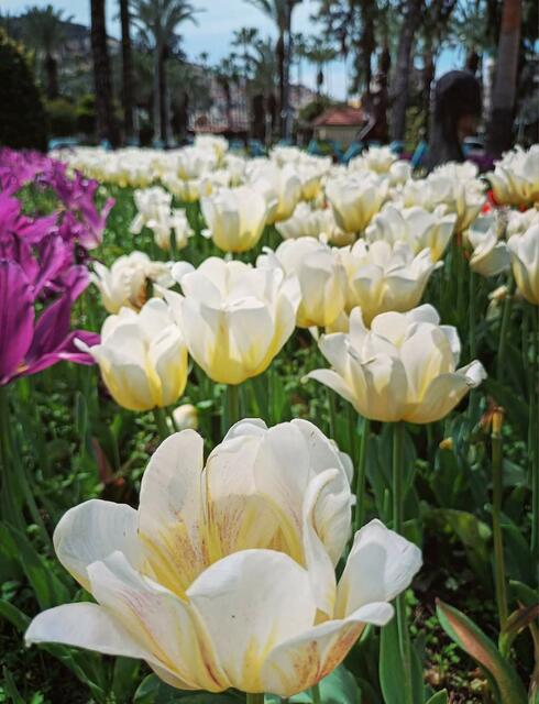 Foto: © UrbanTravelAdventurer by Stefan Fohlen