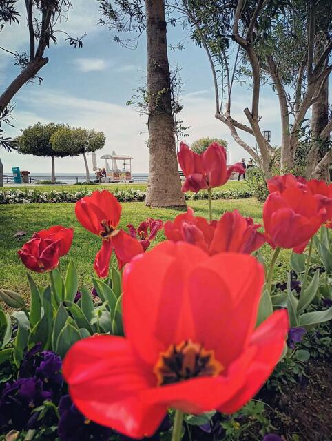 Foto: © UrbanTravelAdventurer by Stefan Fohlen