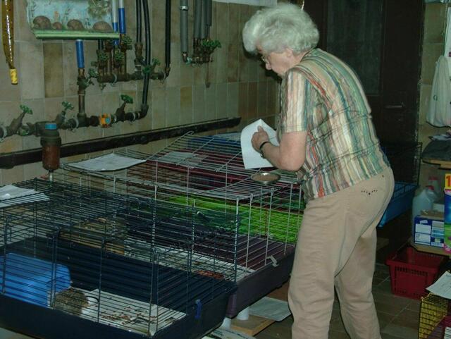 Aus dem Leben einer Igelstation | Foto: Christoph Oehl