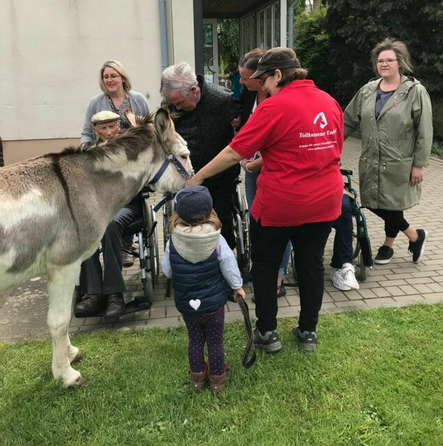 Esel erleben - auch mit Demenz; ein Angebot für Alt &amp; Jung | Foto: Monika Lukas