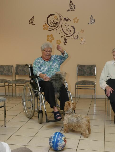 "Freude schenken" | Foto: Heinz Könen