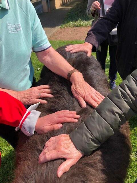 Esel erleben - auch mit Demenz | Foto: privat