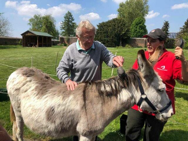 Esel erleben - auch mit Demenz | Foto: Monika Lukas