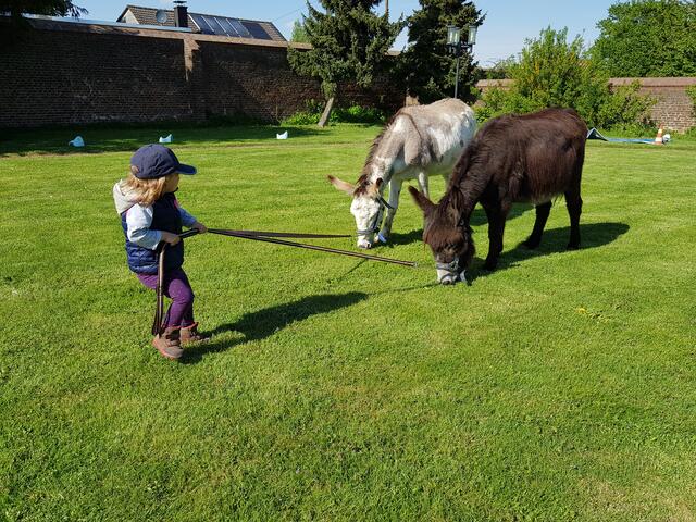Esel erleben - auch mit Demenz; ein Angebot für Alt &amp; Jung | Foto: Monika Lukas