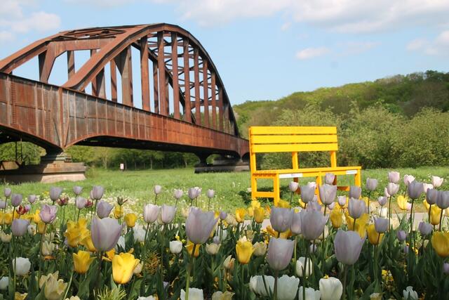 Überdimensionale Sitzbank am Weserufer - derzeit bilden Tulpen den Bilderrahmen | Foto: lgs.höxter/manuela.puls