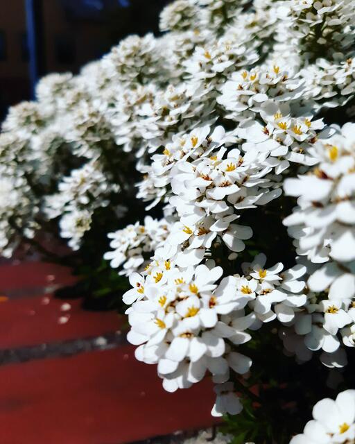 Foto: © UrbanTravelAdventurer by Stefan Fohlen