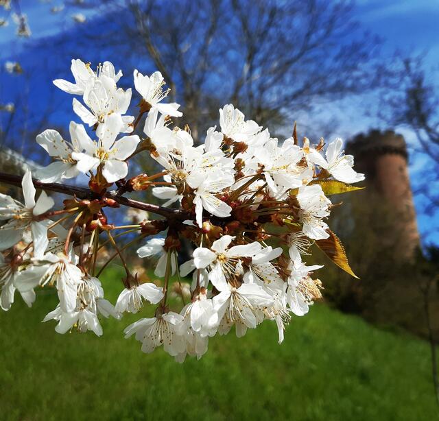 Foto: © UrbanTravelAdventurer by Stefan Fohlen