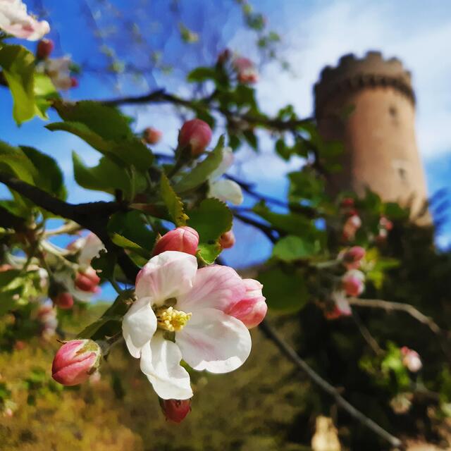 Foto: © UrbanTravelAdventurer by Stefan Fohlen