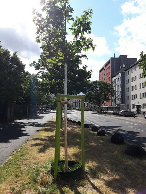 Foto: Stadt Köln
