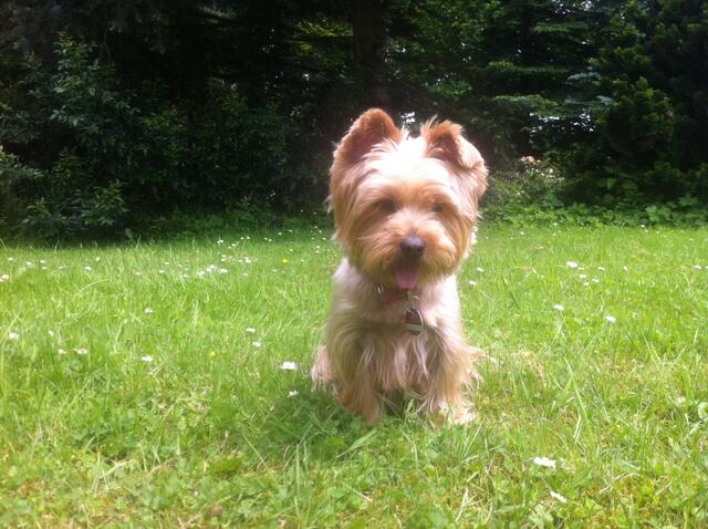 Ich bin Leila | Foto: Heinz Könen