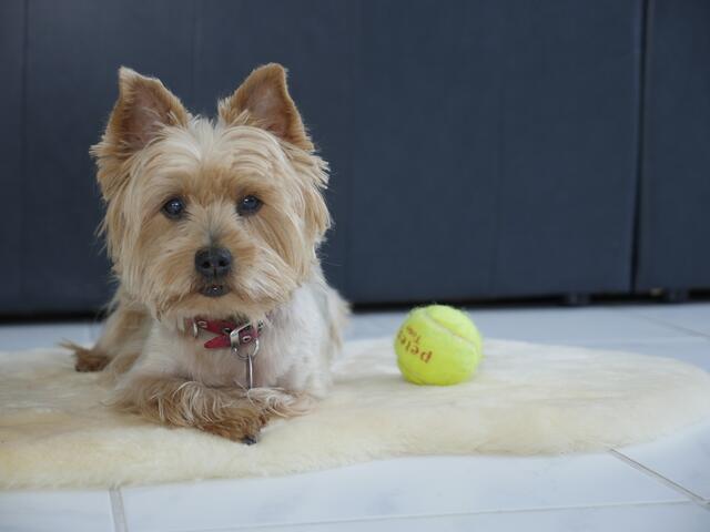 Protagonistin Leila | Foto: Heinz Könen