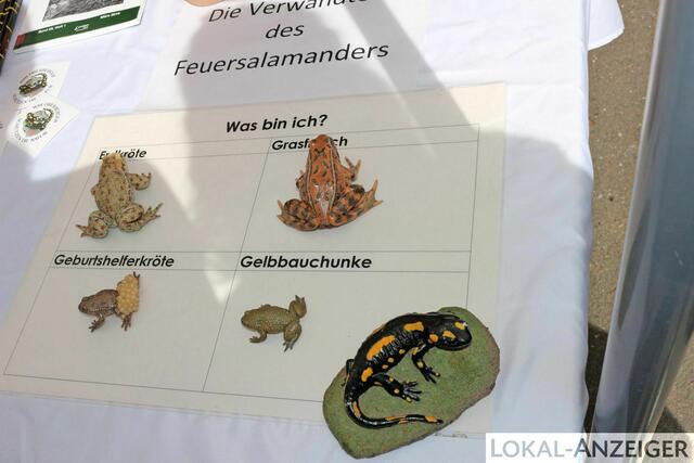 Foto: Karin Rechenberger