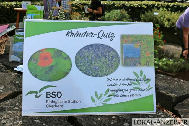 Foto: Karin Rechenberger
