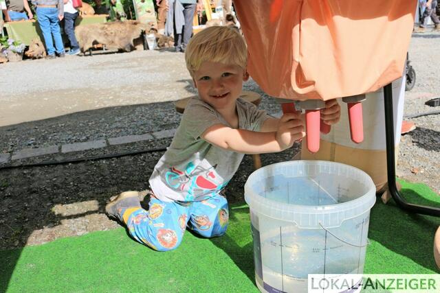 Foto: Karin Rechenberger