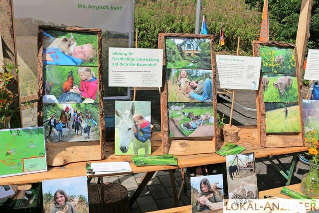 Foto: Karin Rechenberger