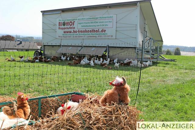 Foto: Karin Rechenberger