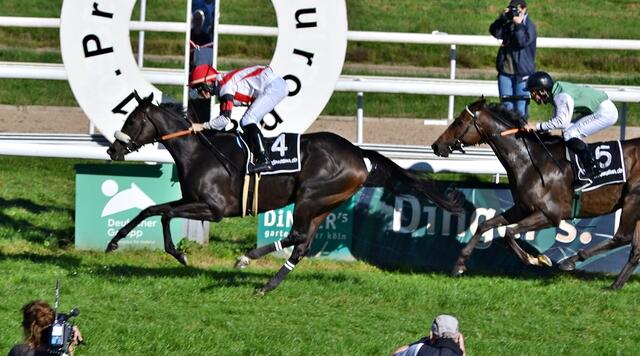 Ursula Rosendahl-Preis: Sieg für Lydia mit A. Madament für den Stall Grafenberg (Albrecht Woeste) | Foto: Horst Nauen