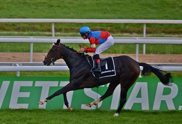 Sieger im 3. Rennen: "Attacco" &amp; Andrasch Starke | Foto: Horst Nauen