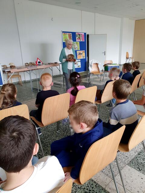 Verlust an Lebensraum und Nahrungsvielfalt sind u.a. ursächlich, dass Igel ihr vorgesehnes Alter seit langem nicht mehr erreichen.  | Foto: Renate Könen