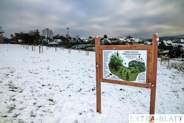 Foto: Steimel