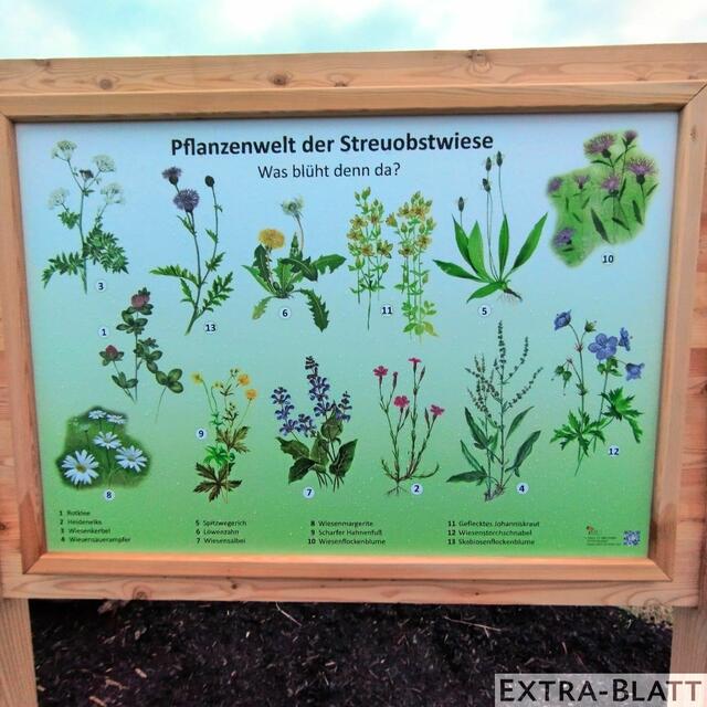 Foto: Steimel