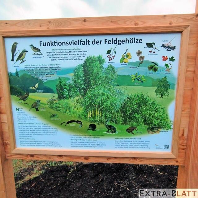 Foto: Steimel