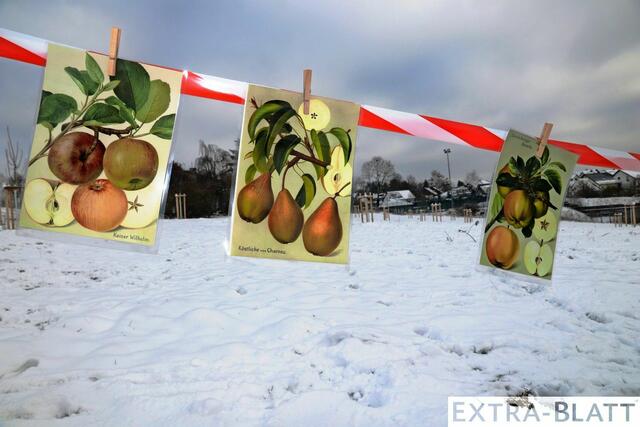Foto: Steimel