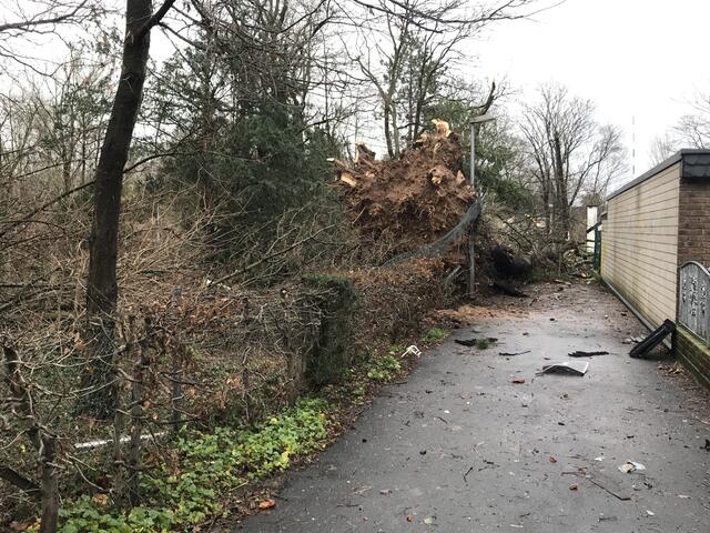 Auch der Alte Poller Friedhof wurde beim Sturm durch entwurzelte Bäume verwüstet.  | Foto: Büge