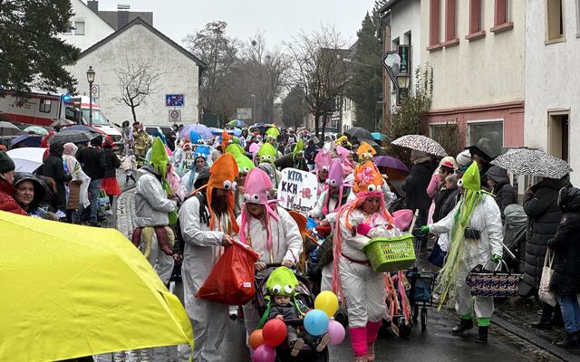Tintenfische gibt´s übrigens auch in kunterbunt.  | Foto: Henri Grüger/pp/Agentur ProfiPress