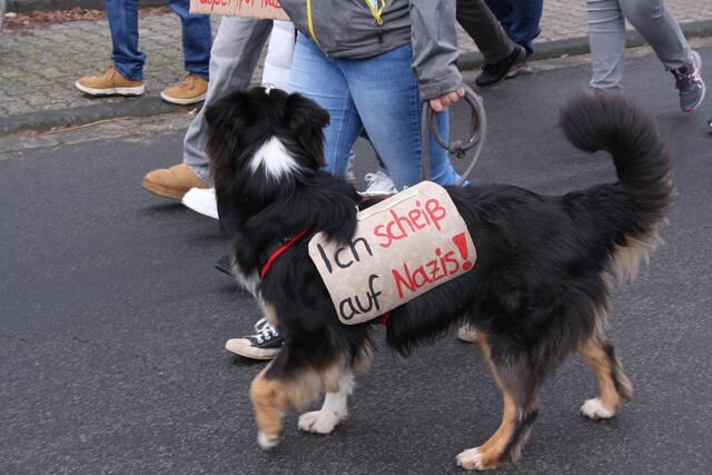 Foto: Lena Großekathöfer