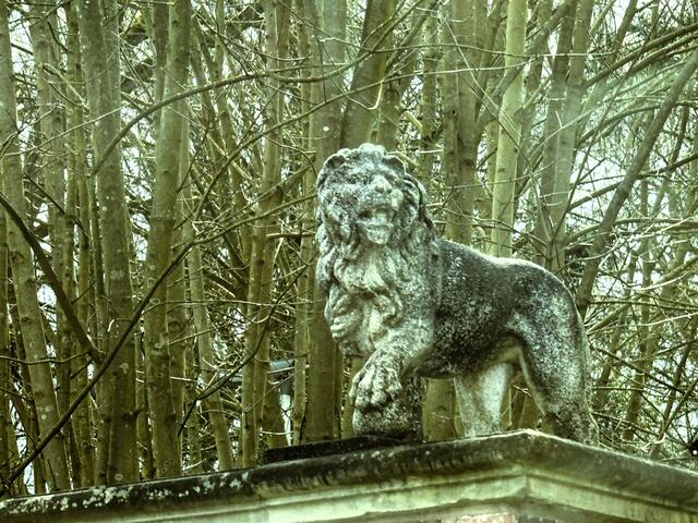 Steinlöwe | Foto: Bildrechte: Stefania Herod