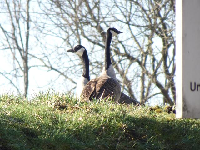 Frühlingsgefühle | Foto: Bildrechte: Norbert Herod