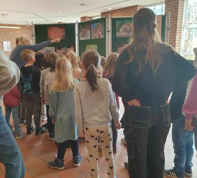 "Wenn das Nest nicht mehr sicher erscheint, trägt die Igelmama jedes ihrer Kinder an einen besseren Platz", erläutert Karin Oehl anwesenden Kids der KGS Barbaraschule, Pulheim  | Foto: Renate Könen