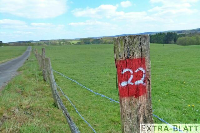 Foto: Steimel