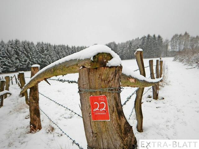 Foto: Steimel