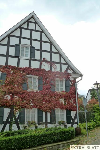 Foto: Steimel