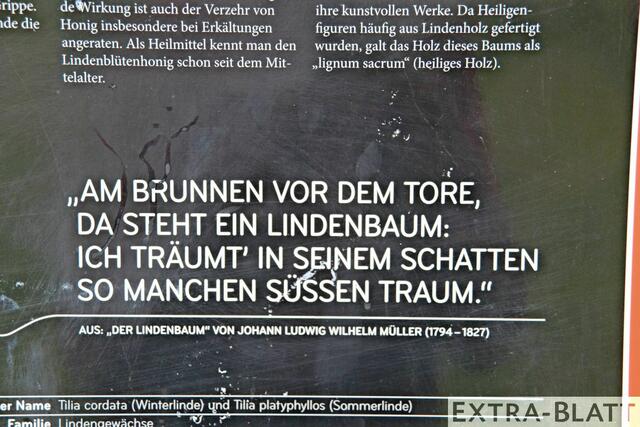 Foto: Steimel