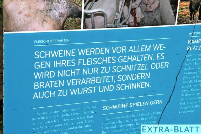 Foto: Steimel